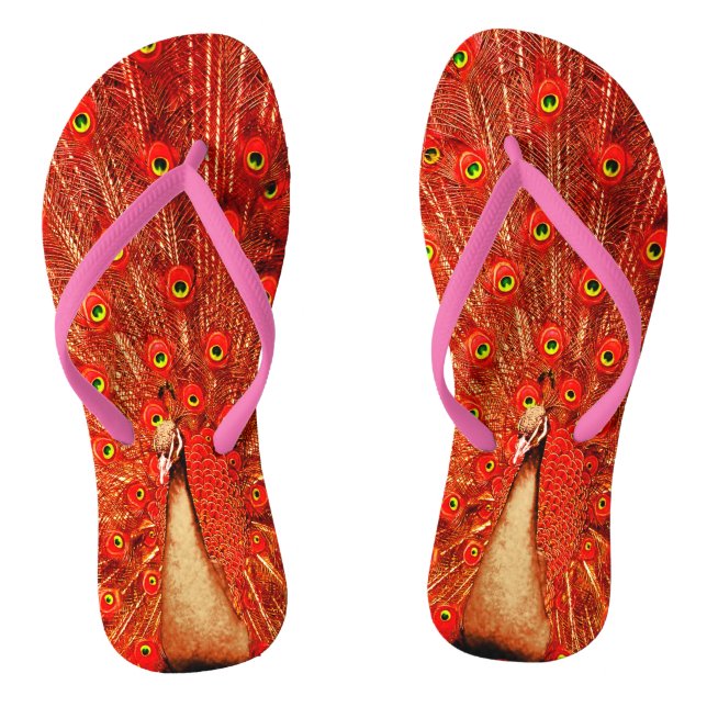 Chinelos Pavão Vermelho Exibindo Suas Penas Vermelhas, (Pé da cama)