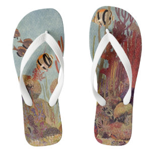 Chinelos Peixe-anjo no Coral, Peixe Tropical Antigo no Ocea