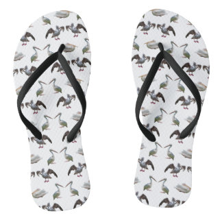 Chinelos Pelican Frenzy Flip Flops (escolha a cor)