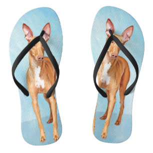 Chinelos Pharaoh Hound Painting - Arte Cachorra Original