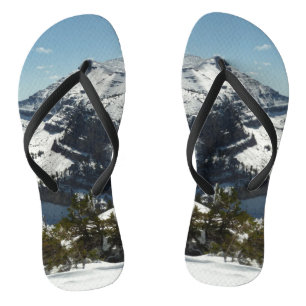 Chinelos Picos de neve da Grande Montanha Teton II Foto