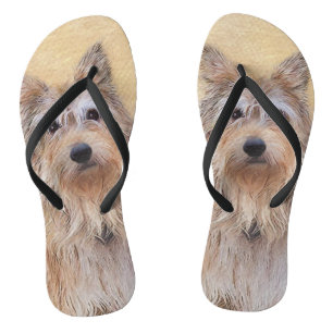 Chinelos Pintura de Berger Picard - Arte de Cão Original B
