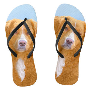 Chinelos Pintura de Cão de Retriever com Pedra Nova Escóc