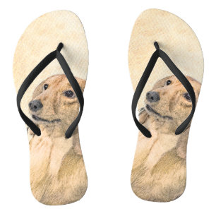 Chinelos Pintura de Dachshund (Longhaired) - Arte de Cão Or