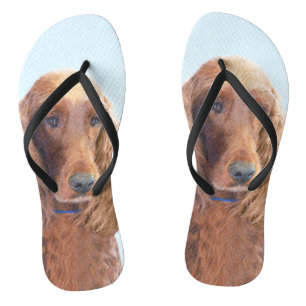 Chinelos Pintura de Irish Setter - Arte Original de Cachorr