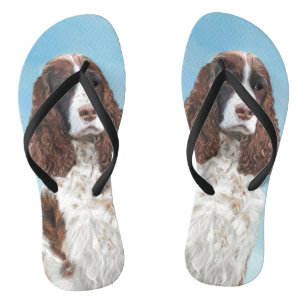 Chinelos Pintura em inglês Springer Spaniel original