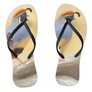 Chinelos Pintura em Quail de Gambrel — Arte original sobr