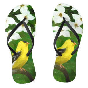 Chinelos Pintura Goldfinch - Arte Cachorra Original