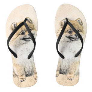 Chinelos Pintura Pomeraniana (Laranja) - Arte Canina Origin