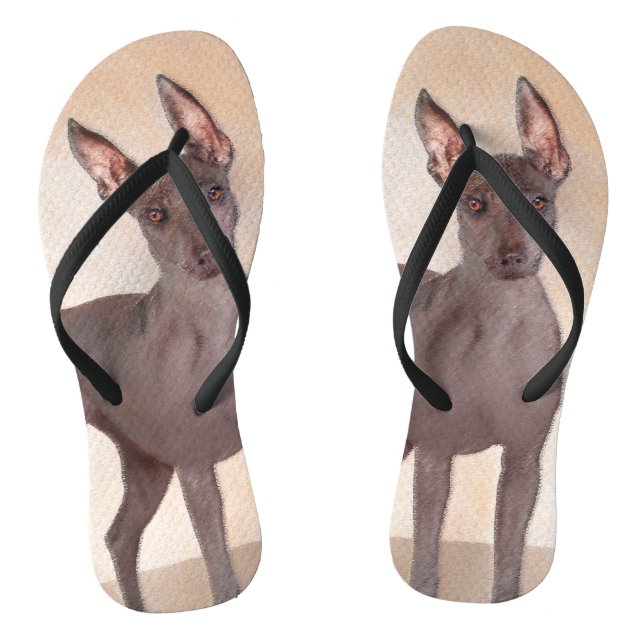 Chinelos Pintura Xoloitzcuintli - Arte Cachorra Original (Pé da cama)