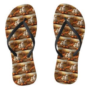 Chinelos Pirenéus excelentes Puppy Autumn Delight Pumpkin