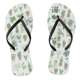 Chinelos Plantita House Plantas e Potes