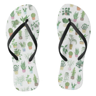 Chinelos Plantita House Plantas e Potes