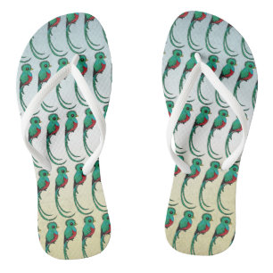 Chinelos Quetzal Resplendente Birdorable
