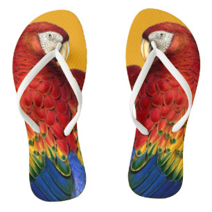 Chinelos Rainbow Macaw Parrot Lover Bold e Summery