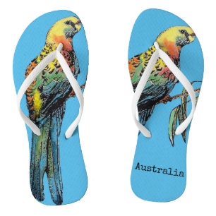 Chinelos Rosella Vermelha Pássaro Australiano Pássaros Chin