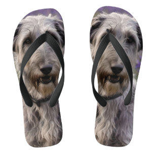 Chinelos Serene Majestade: Wolfhound Sentado em uma Íris Ro