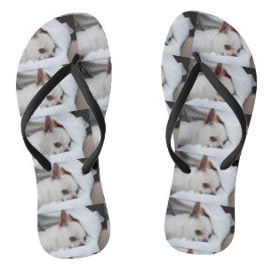 Chinelos Seu cachorro de estimação, foto personalizada, pad