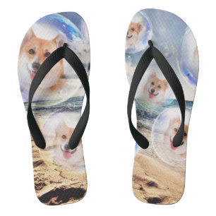 Chinelos Sorriso de Praia Corgis