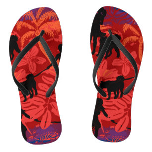 Chinelos Tabelas perdidas juntas
