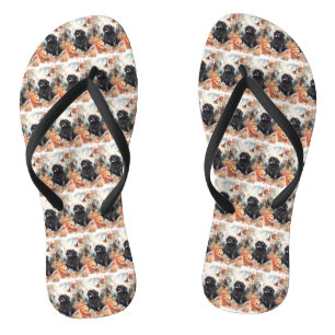 Chinelos Terra Nova do Halloween com Pumpkins assustado