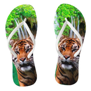 Chinelos Tigre e cascata