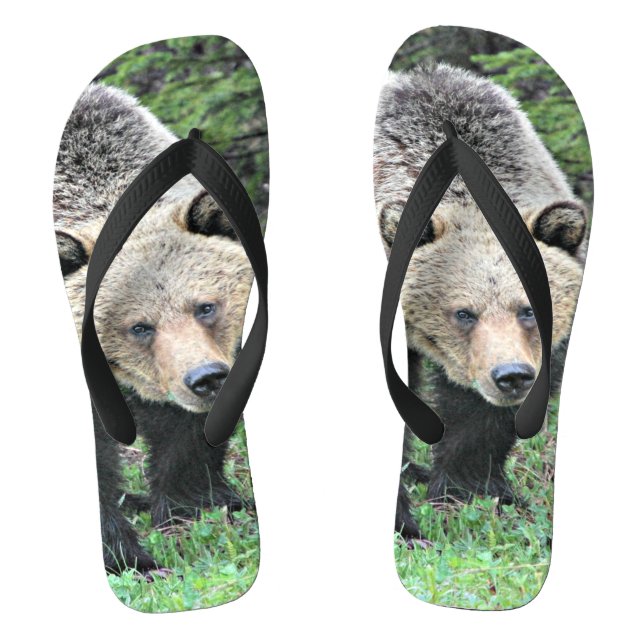 Chinelos Urso Pardo Caminhando Na Floresta (Pé da cama)