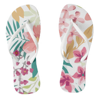 Chinelos Vetor de Planta Flor Tropical