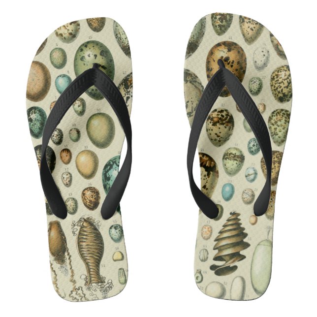 Chinelos Vintage Bird Ovos de Peixes Franceses (Pé da cama)