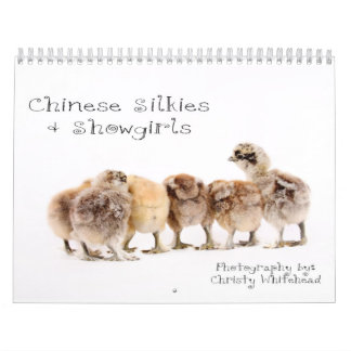 Chinês Silkie & calendário do artista