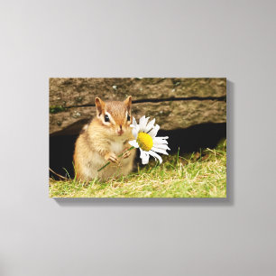 Chipmunk adorável do bebê com canvas da margarid