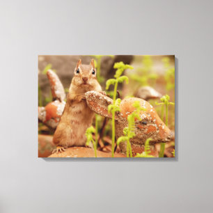 Chipmunk Adorável na Canvas de Estátua