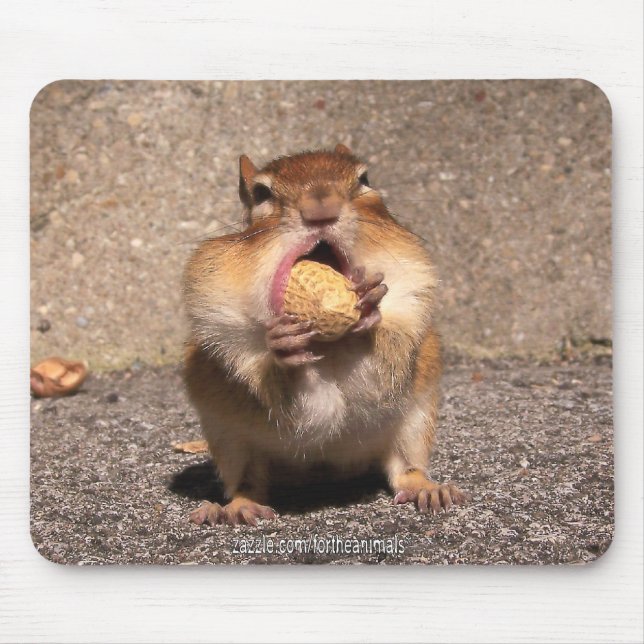 Chipmunk - Mousepad (Frente)