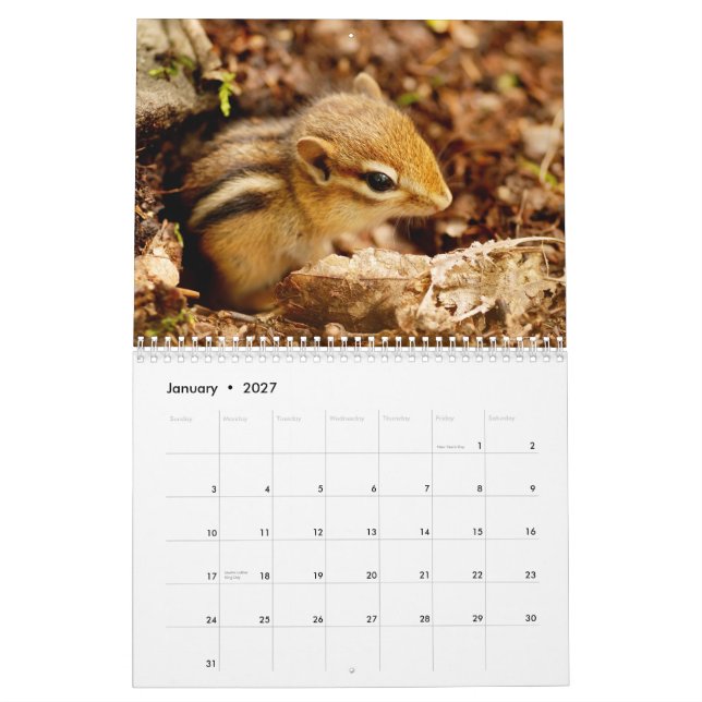 Chipmunks! Um calendário de parede 2015 bonito (Jan 2027)