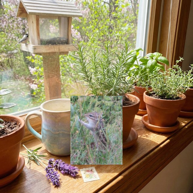 Chipset charmoso no cartão postal de Verão (Criador carregado)