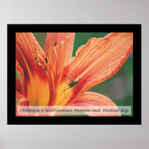 Chiropractic Cotes and Sayings Health Poster