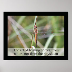 Chiropractic Cotes and Sayings Health Poster