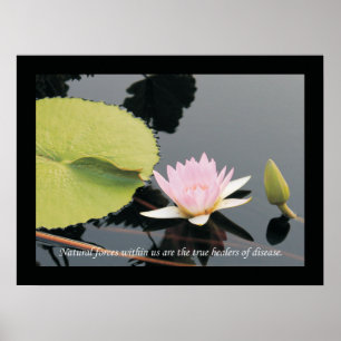 Chiropractic Cotes and Sayings Health Poster