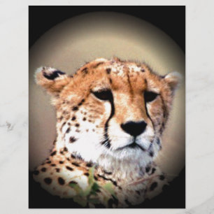 Chita Chita Chita Marks Hakunamatata