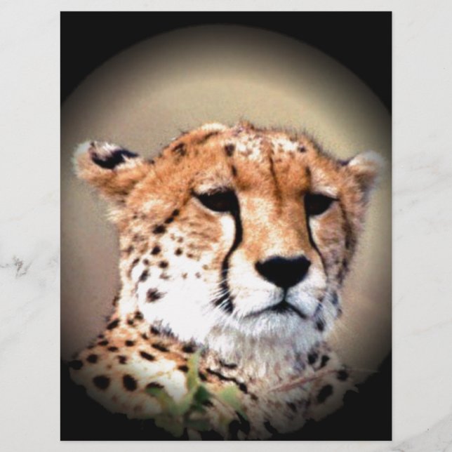 Chita Chita Chita Marks Hakunamatata (Frente)