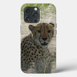 Chita iPhone / iPad case