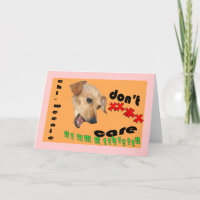 Chiweenie não se importa que você é cartão de