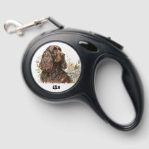 Chocolate Coker Spaniel