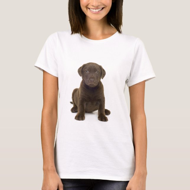 Chocolate Labrador Damas T-Shirt (Frente)