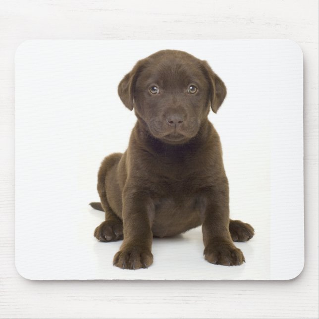 Chocolate Labrador Mousepad (Frente)