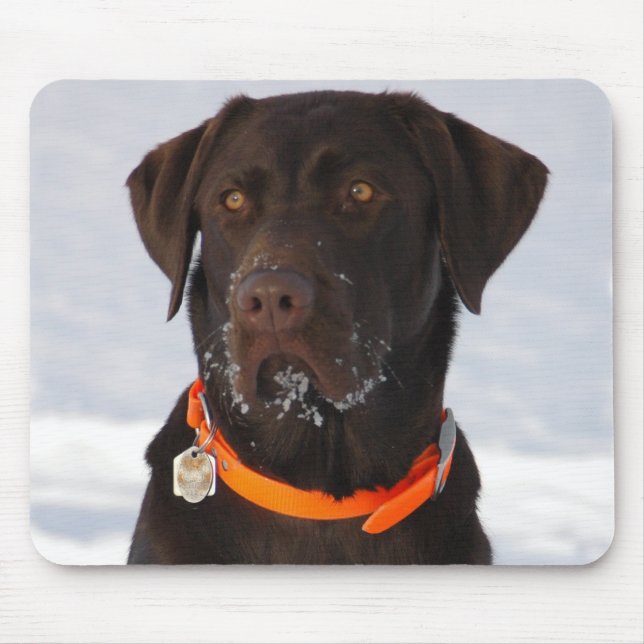 Chocolate Labrador Mousepad (Frente)