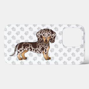 Chocolate & Tan Dapple Short Hair Dachshund & Paws