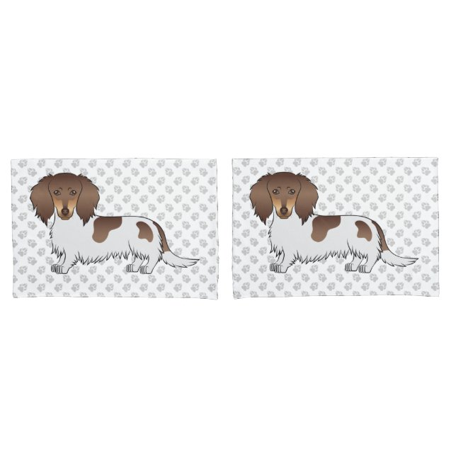 Chocolate & Tan Piebald Dachshund de Pelo Longo &  (Frente - conjunto)