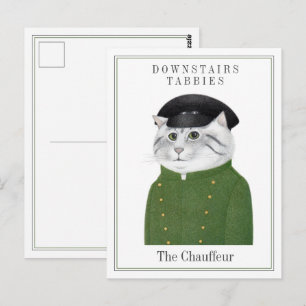 CHOFFER DE GATOS Cartão Postal