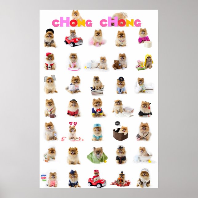 Chong Chong Poster (Frente)
